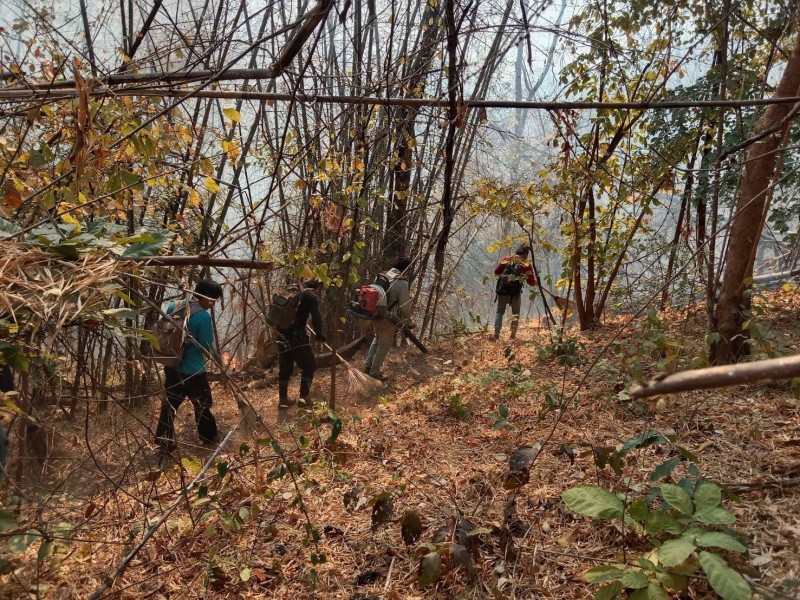Activity Image 2