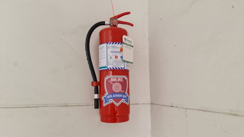 Activity Image 2