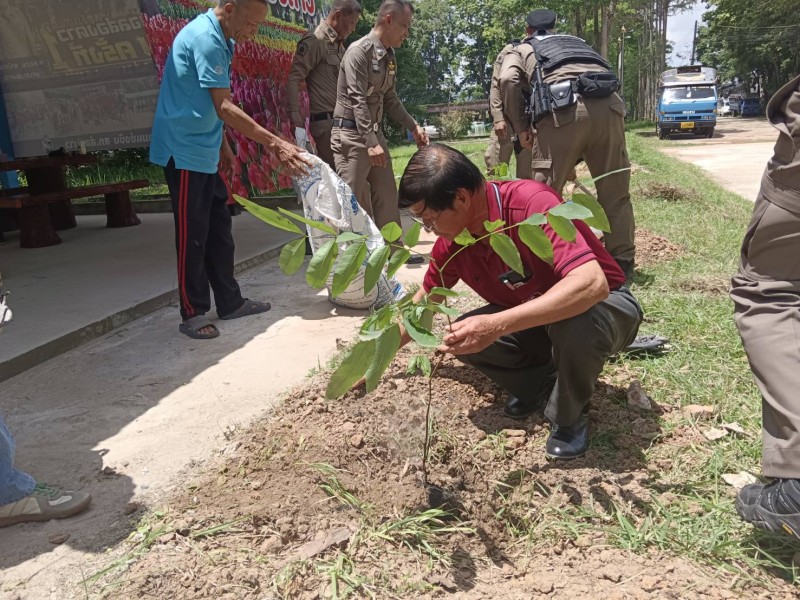 Activities Image