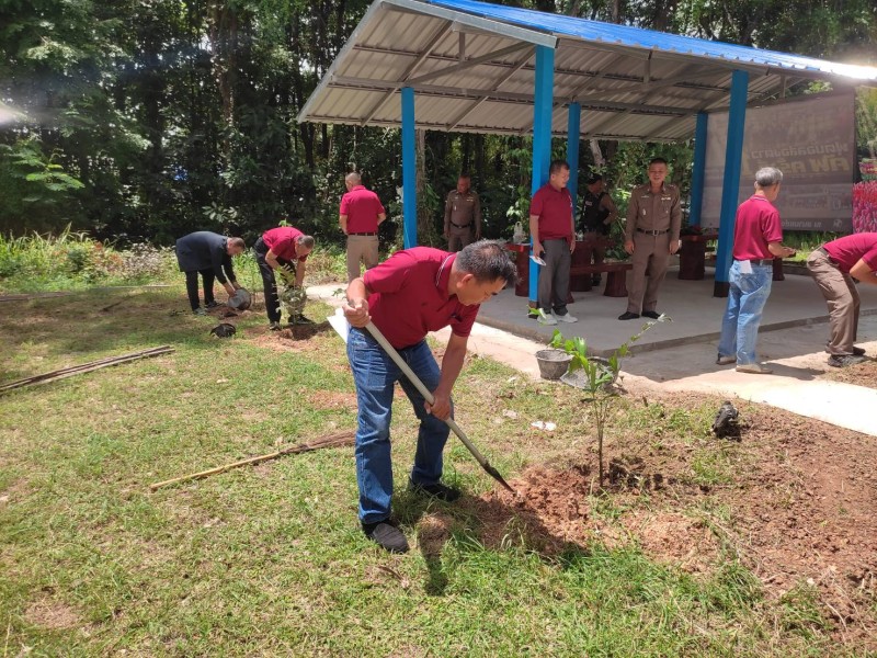 Activity Image 2
